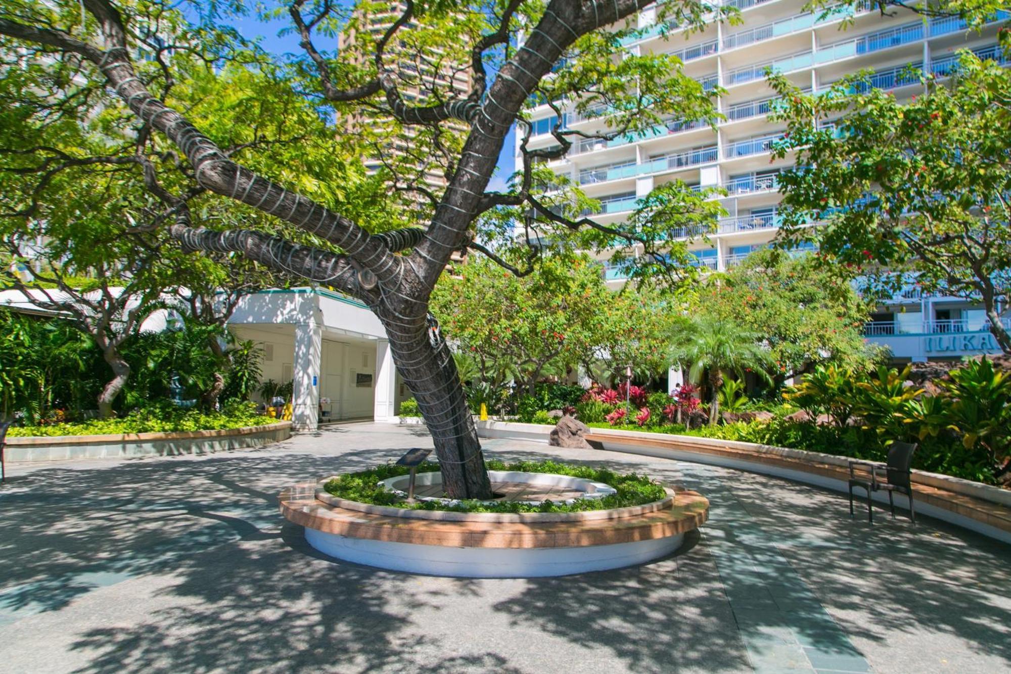 Апартаменты Ilikai Tower 1533 Yacht Harbor View 1Br Гонолулу Экстерьер фото